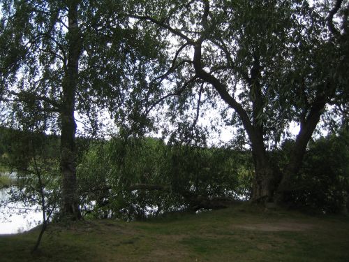 Trädgården i Lilla Hyttnäs 2