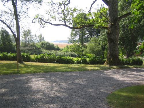 Mårbacka trädgård