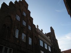 IMG_0795
