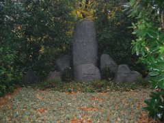 IMG_0812