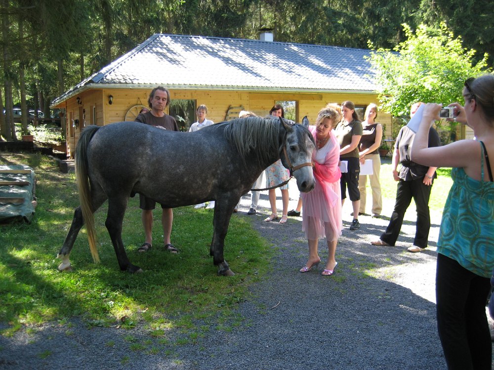 IMG_019.jpg - Teori varvades med praktik. Här pratar Amelia med en av gårdens hästar. Bakom hästen står Dieter Scholz, som har ägt Beuerhof i över 40 år.   