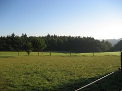 IMG_006
