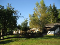 IMG_010