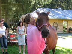 IMG_030