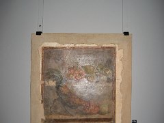 IMG_ 050