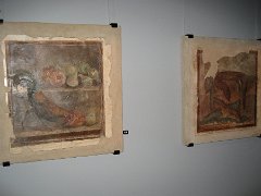 IMG_ 051